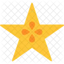 Star Fruit Food Healthy Icon