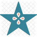 Star Fruit Food Healthy Icon