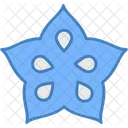 Star Fruit Icon