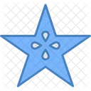 Star Fruit Food Healthy Icon