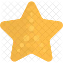 Starfish Sea Star Icon