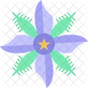 Starflower Borage Floral Icon