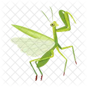 Praying Mantis Icons Cute Mantis Mantodea Icon