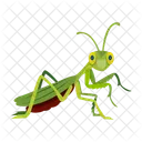 Praying Mantis Icons Cute Mantis Mantodea Icon