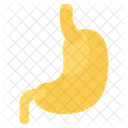 Stomach Digestion Human Organ Icon