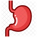 Stomach  Icon