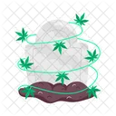 Stoner Grave  Icon