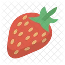 Berry Fruit Healthy Icon