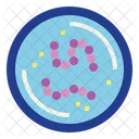 Streptococci  Icon