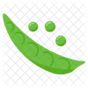 Vegetable Vitamin Healthy Icon