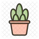 Cactus Plant Nature Icon