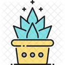 Succulent Icon