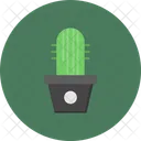 Succulent Plant Cactus Icon