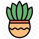 Succulent  Icon