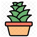 Succulent  Icon