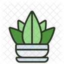 Succulents Green Succulent Icon