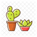 Succulents and cacti  Icon