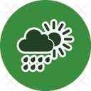 Summer Rain Icon