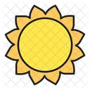 Sun  Icon