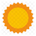 Sun Flower Floral Spring Icon