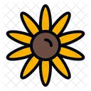 Sun Flower Icon