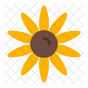 Sun Flower Icon