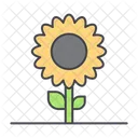 Sun Flower Flower Nature Icon