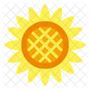 Sun Flower Flower Nature Icon