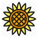 Sun Flower Flower Nature Icon