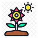 Flower Plant Spring Icon