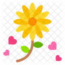 Sun Flower Rose Flower Icon