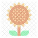 Sun flower  Icon