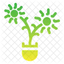 Plant Icon