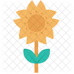 Sun Flower  Icon