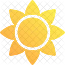 Sun Flower Icon