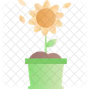 Spring Season Sun Flower Icon