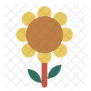 Sun Flower  Icon