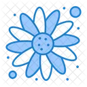 Sun Flower  Icon