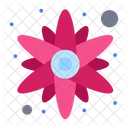 Sun Flower  Icon