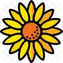 Sun Flower Agriculture Bright Icon