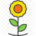 Sun Flower Agronomy Growth Icon