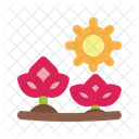 Flowers Sun Wild Flower Icon