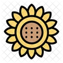 Sun Flower  Icon