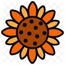 Sun Flower Flower Nature Icon