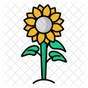 Sun Flower Icon