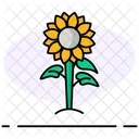 Sun Flower Flower Nature Icon