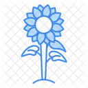 Sun Flower Icon