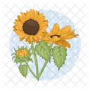 Sunflower Flower Nature Icon