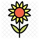 Sunflower Plant Flower Icon