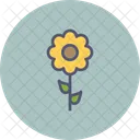 Sunflower Flower Spring Icon